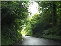 N5776 : Road through woodland at Loughcrew by Eric Jones