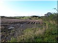 Ballymalady Townland