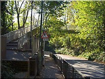 TQ2953 : Footbridge, School Hill, Merstham by Derek Harper