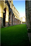 SE2768 : Fountains Abbey by Alexander P Kapp