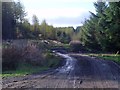 Gartcarron, Forestry road