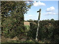 Footpath off Cooks Lane