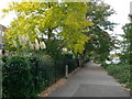 The Thames Path at East Molesey