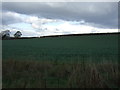 Farmland off Station Road