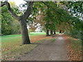 The Thames Path at Hurst Park