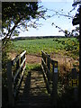TM3375 : Footbridge of the footpath to Cookley by Geographer