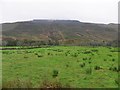 Glenenn Townland