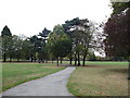 Path in Ashburton Park