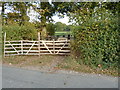 Penned sheep at Avery