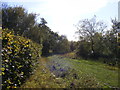 The entrance to Willow Trout Lakes