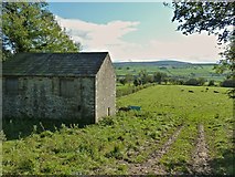 SE1089 : Field Barn, Low Wood lane, Leyburn by Paul Buckingham