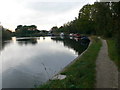 Approaching Chertsey on the Thames Path from Shepperton