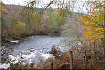 NC4603 : River Cassley, just above Achness Falls by sylvia duckworth