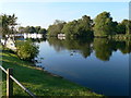 The Thames at Laleham