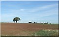 Farmland near The Ruddings Farm