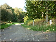 SE6187 : A path leading to Carton Grange by Ian S