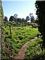 Westway allotments