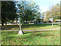 An autumnal Kingston Cemetery (47)