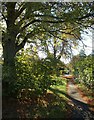 Footpath alongside Avenue Road, Caterham