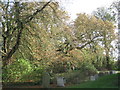 The north side of the churchyard, Treswell