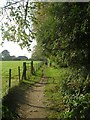 Footpath - Church Lane to Millfield Lane