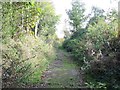 Footpath to Fynneylane