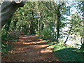 The Thames Path near the M25