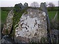 N2595 : Dolmen in Berrinagh, Moyne, Co.Longford by Gerard Moroney