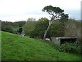 Sheds behind Penmorfa chapel