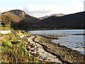 Beach, Loch Ranza