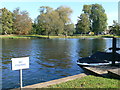 The River Thames at Runnymede