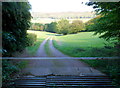 Cattle grid across track to Cannes Farm, Monmouth