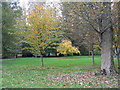 Star Plantation at Floors Castle