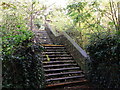 Footbridge into the trees, South Croydon