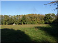 Meadow, Roberts Farm