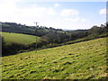 Undulating farmland, Knightacott