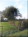 Footpath and stile near Tarvin