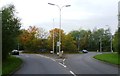 Roundabout - Birchwood Park