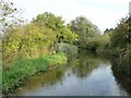 The Chesterfield Canal, Hayton