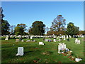 An autumnal Kingston Cemetery (107)