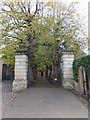 Tree-lined approach to St Andrew