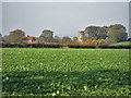 Disused silage tower