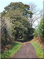 The Sandstone Trail near Rock Farm