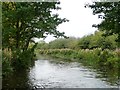 The Chesterfield Canal