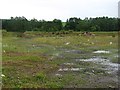 Stalled development, Jackston