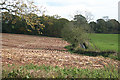 Broadclyst: stubble field