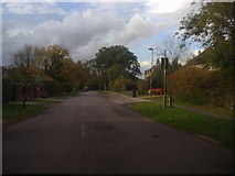 TQ2296 : Galley Lane, Arkley by David Howard