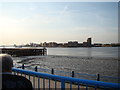 View of the Royal Docks Apartments from the Thames Path