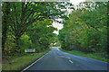 A283 approaches Northchapel