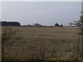 Audley Top Farm across the fields